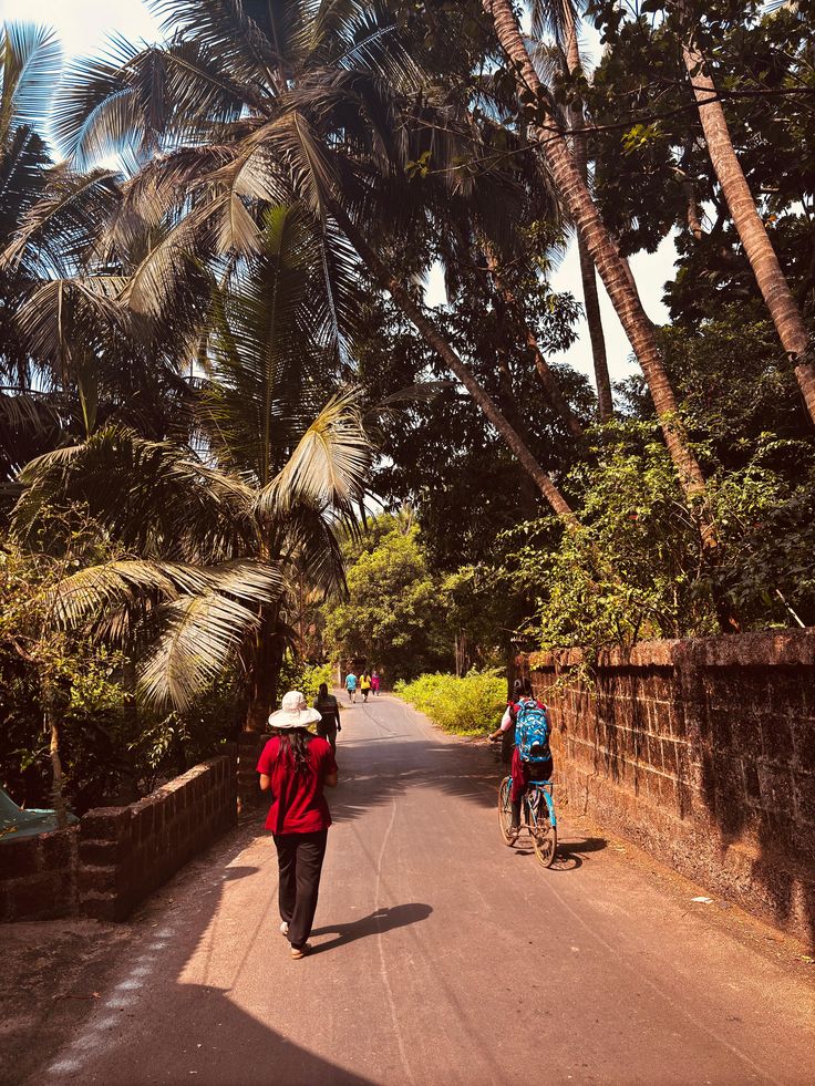 Kokan Village Walk showing everyday farming and village tourism in Kokan