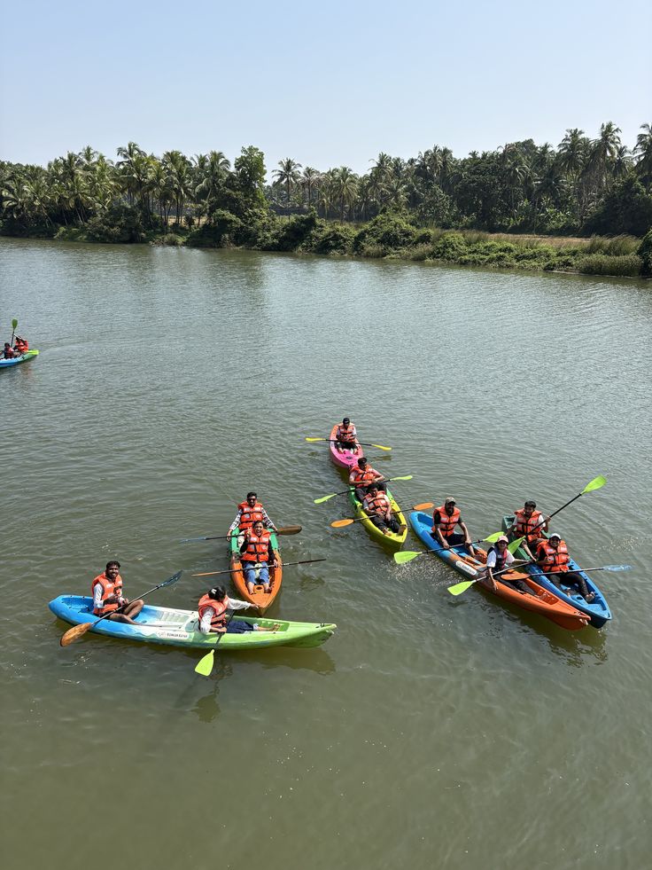 Scenic view of Backwater Kayaking, a heritage or nature destination in Kokan