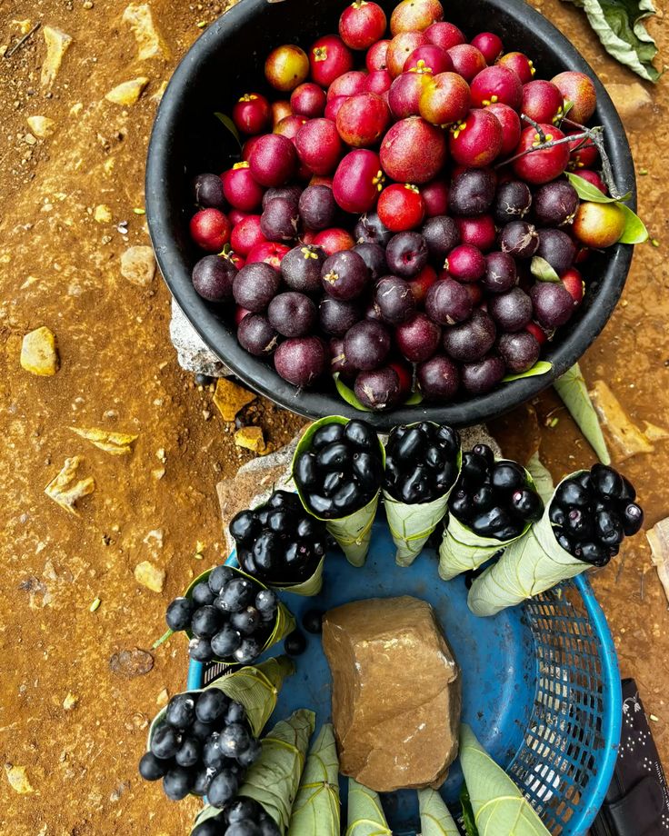 Traditional Kokan speciality Karvanda Berries presented in its local setting